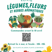 Vente 2024 de plants de légumes et fleurs